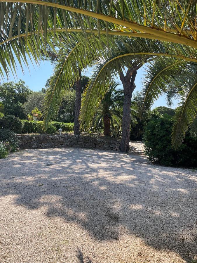 לינה וארוחת בוקר סן-מקסים Paradis Provencal מראה חיצוני תמונה