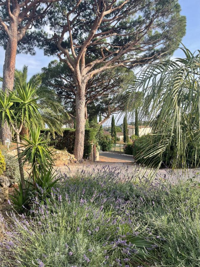 לינה וארוחת בוקר סן-מקסים Paradis Provencal מראה חיצוני תמונה